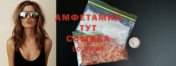 индика Верхний Тагил