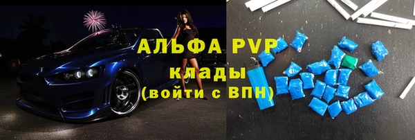 индика Верхний Тагил