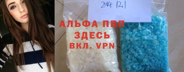 индика Верхний Тагил