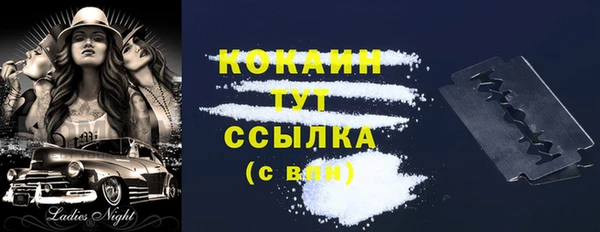 индика Верхний Тагил