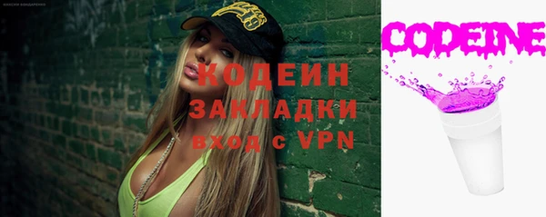 индика Верхний Тагил