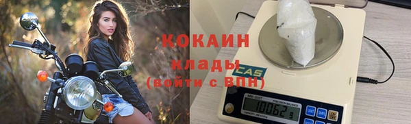 крисы Верея