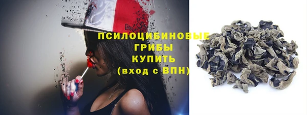 стаф Саяногорск