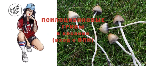индика Верхний Тагил