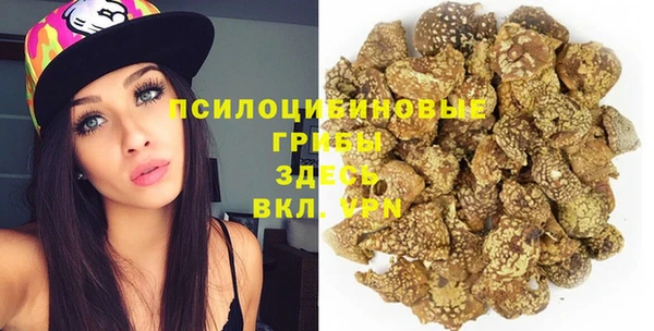 индика Верхний Тагил