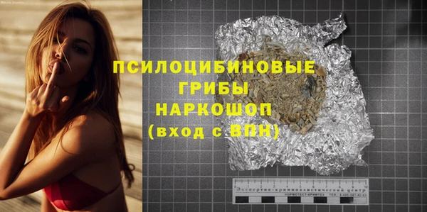 индика Верхний Тагил