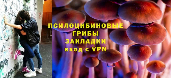 крисы Верея