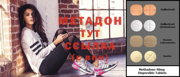 индика Верхний Тагил