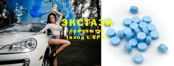 индика Верхний Тагил
