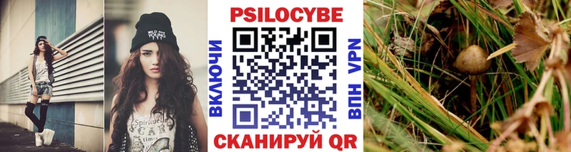 Псилоцибиновые грибы Psilocybe  KRAKEN ссылка  Пестово 